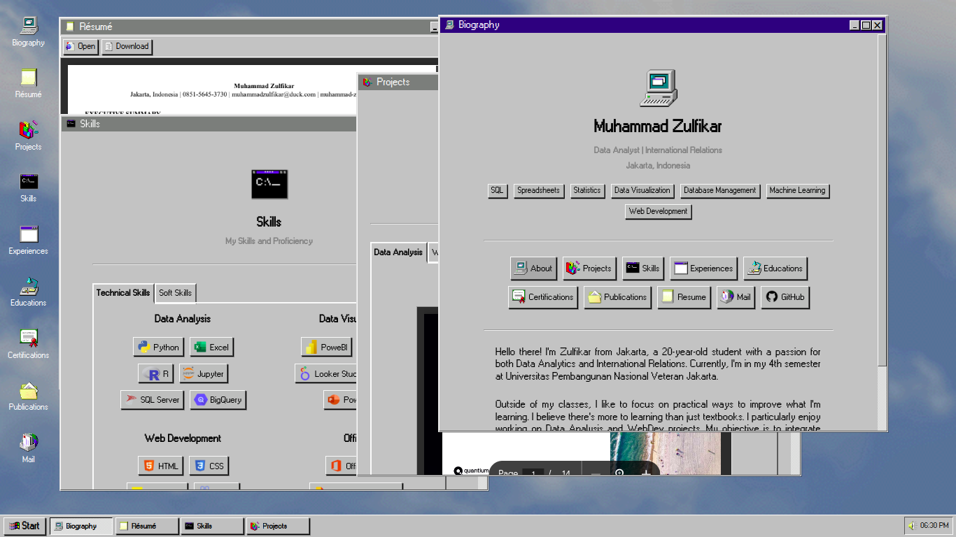 Windows 95 Portfolio preview